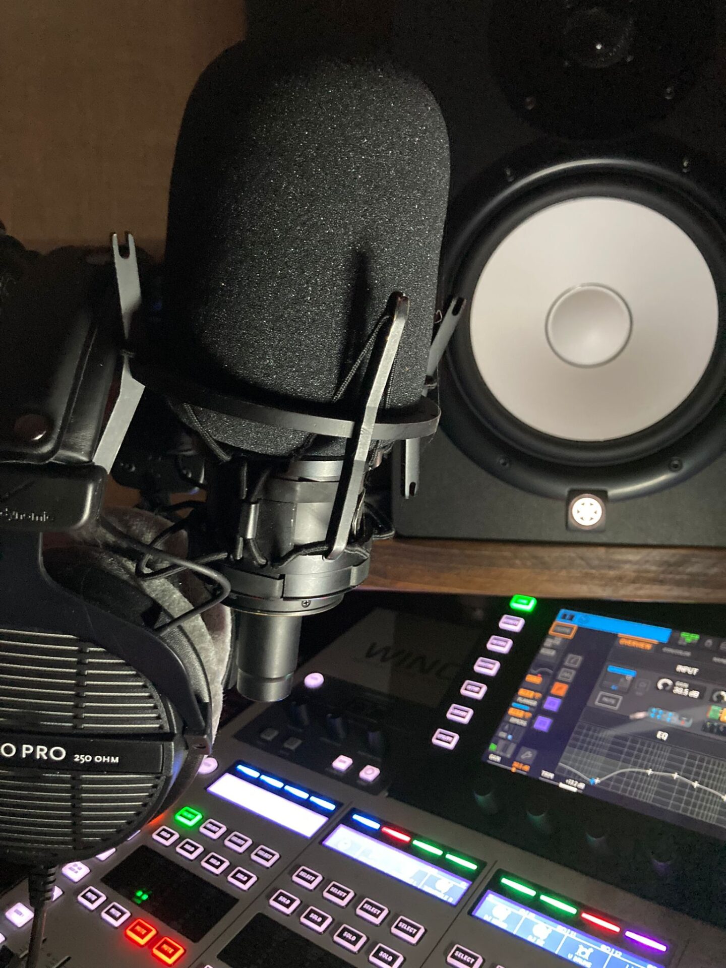 Dingly Dell Studio microphone